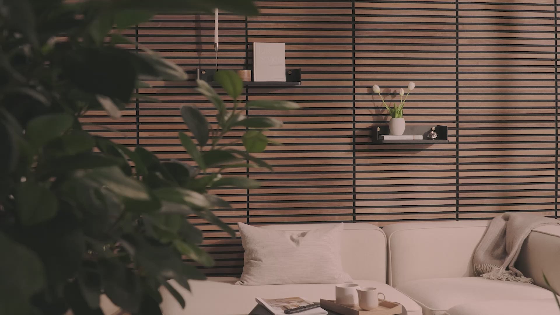 Video laden: 